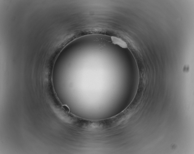 X0000097000546200802081446