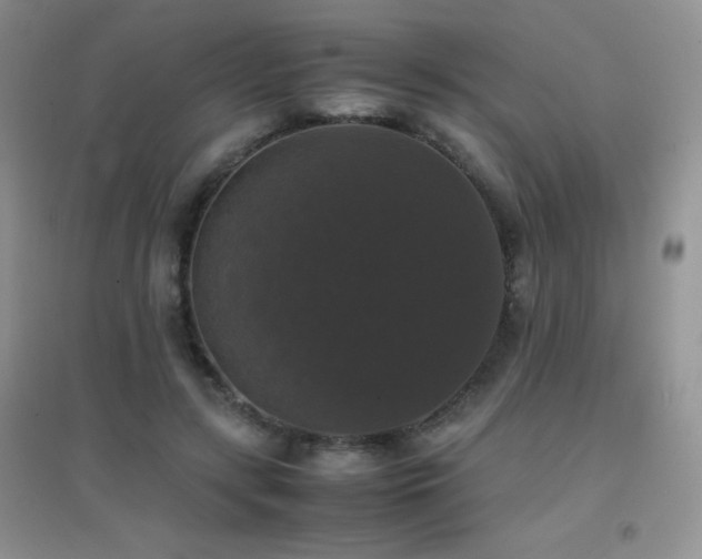 X0000097000547200802081446