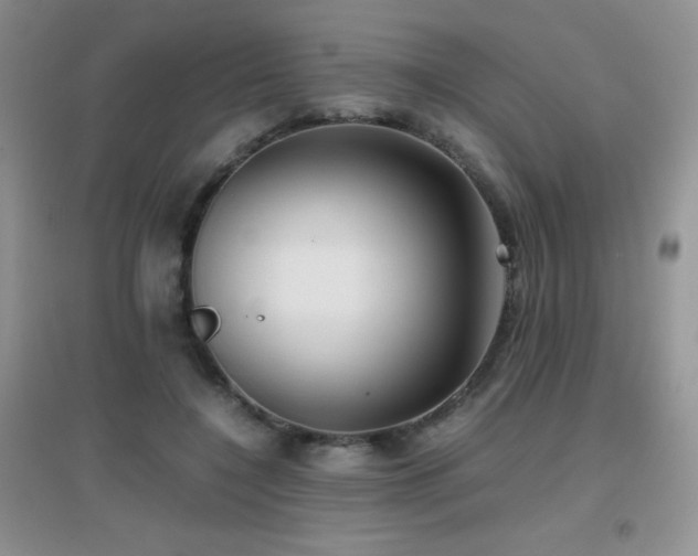 X0000097000548200802081446