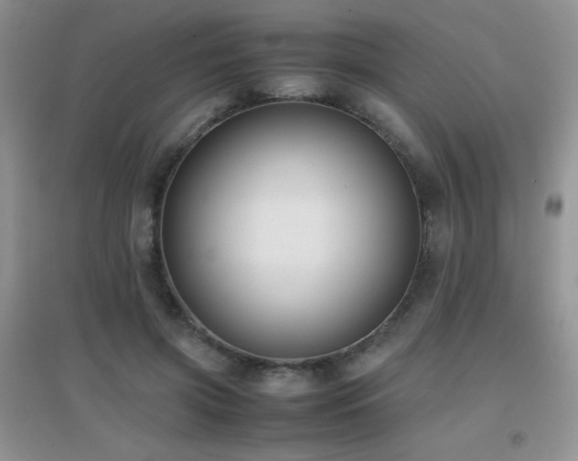 X0000097000549200802081446