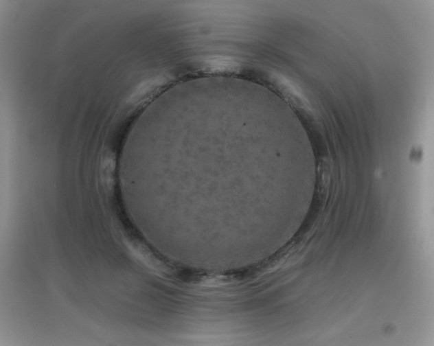 X0000097000550200802081446