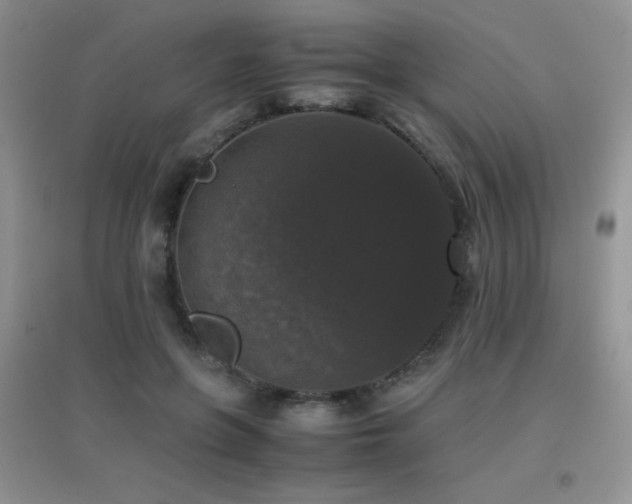 X0000097000551200802081446