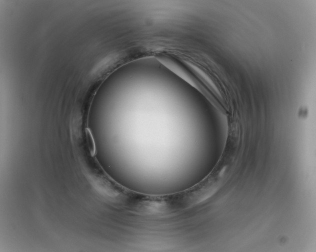 X0000097000552200802081446
