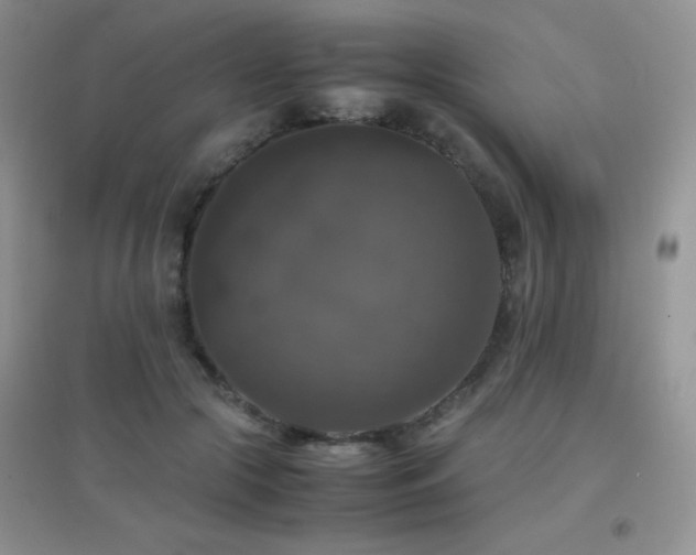 X0000097000553200802081446
