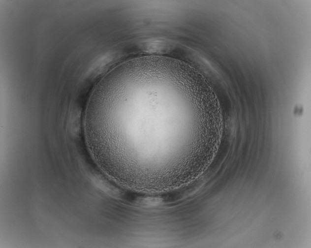 X0000097000554200802081446