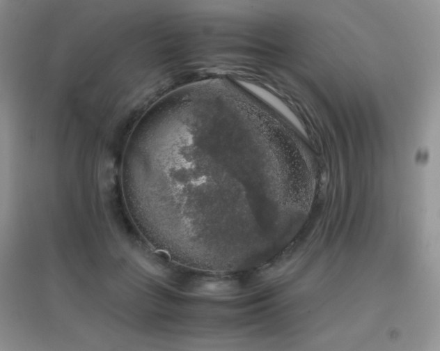 X0000097000555200802081446