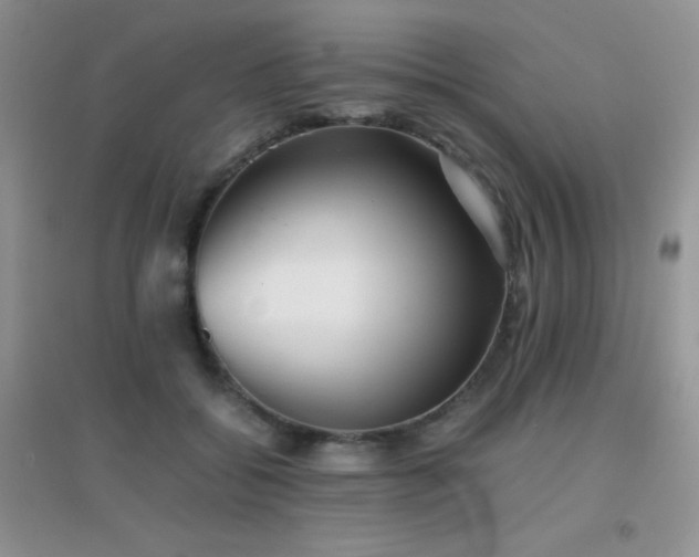 X0000097000556200802081446