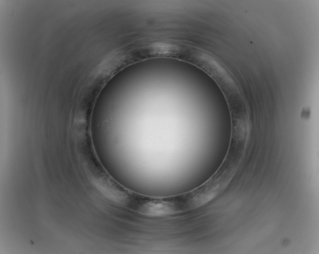 X0000097000557200802081446