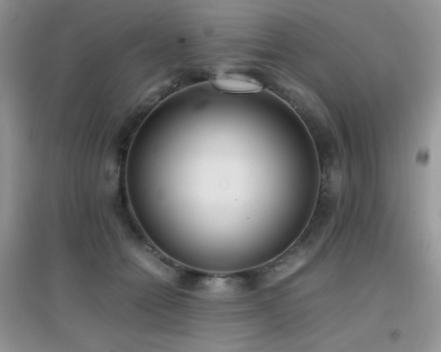 X0000097000558200802081446