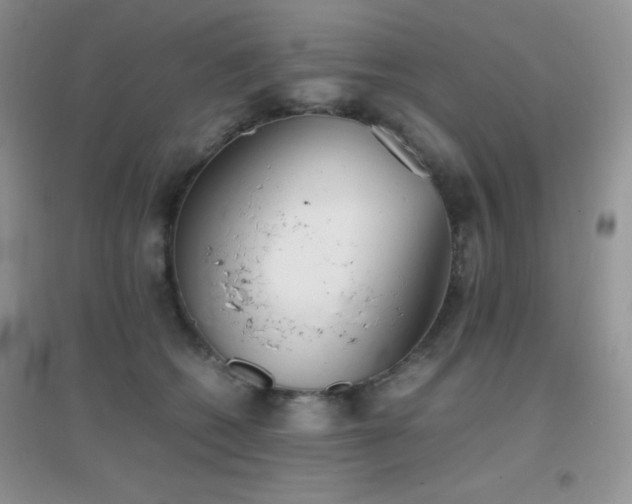 X0000097000562200802081446
