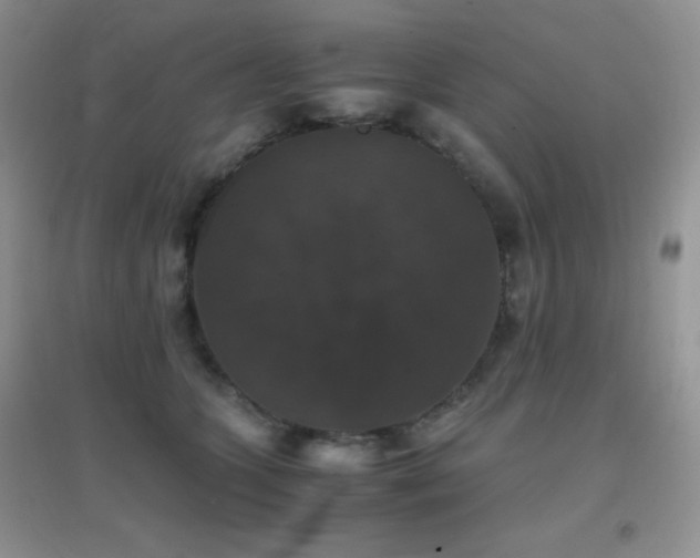 X0000097000563200802081446