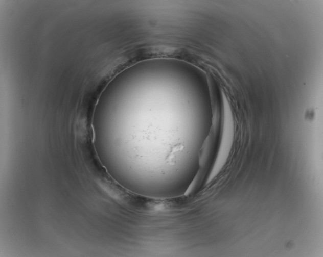 X0000097000564200802081446