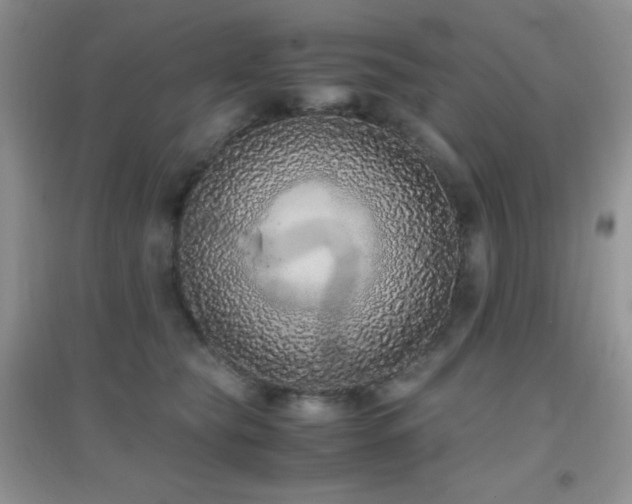 X0000097000565200802081446