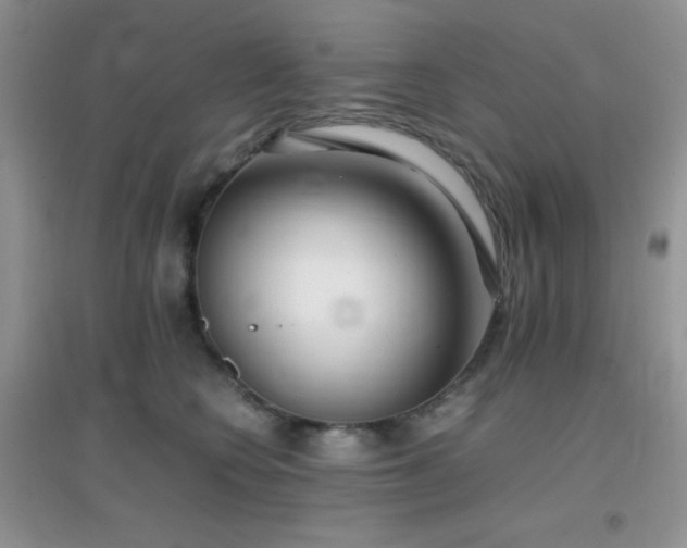 X0000097000566200802081446