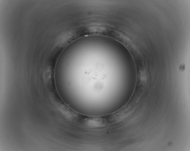 X0000097000567200802081446