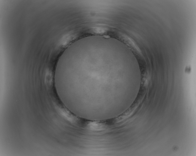 X0000097000568200802081446