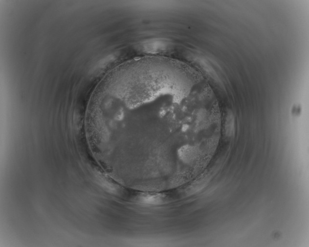 X0000097000569200802081446