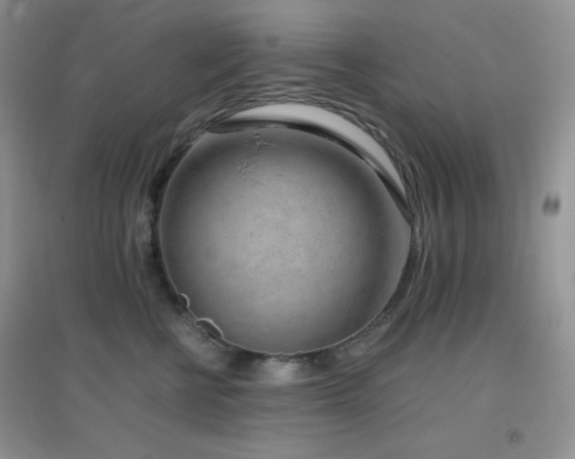 X0000097000570200802081447