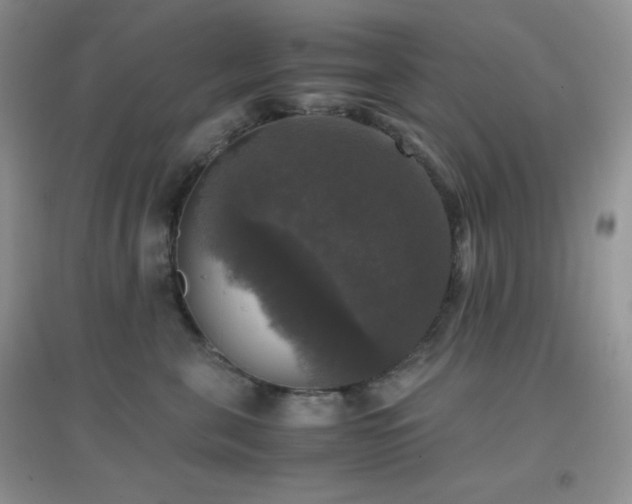X0000097000571200802081447