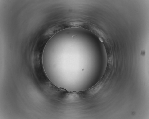 X0000097000572200802081447