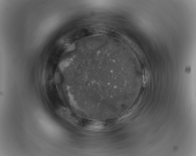 X0000097000573200802081447
