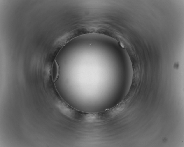 X0000097000574200802081447