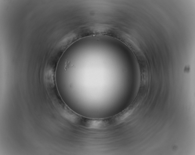 X0000097000575200802081447