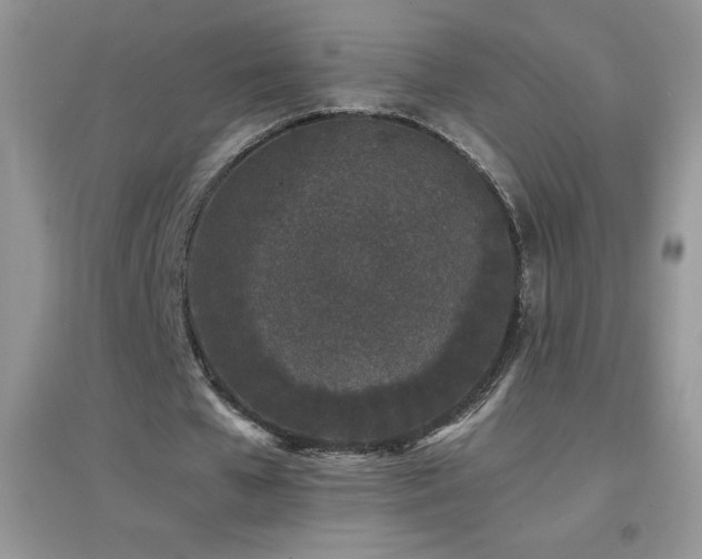 X0000097000577200802081446