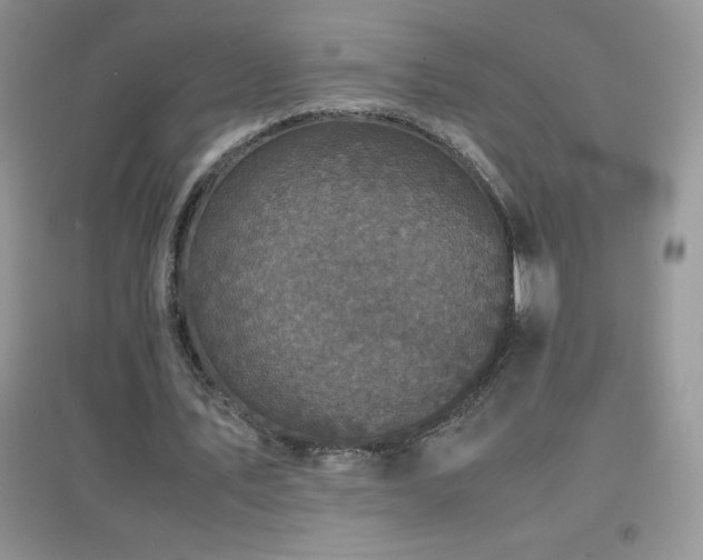 X0000097000579200802081446