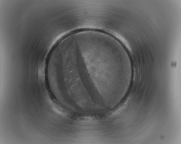X0000097000580200802081446