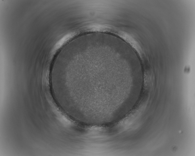 X0000097000581200802081446