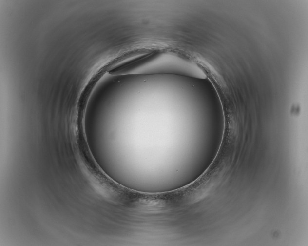 X0000097000582200802081446
