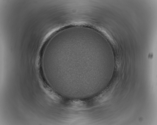 X0000097000583200802081446