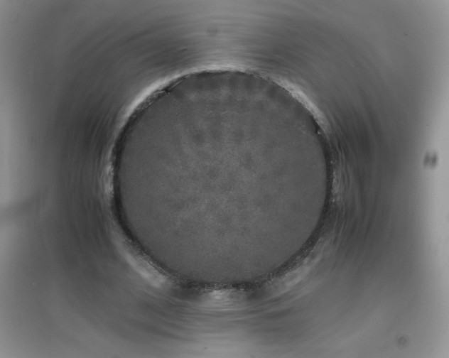 X0000097000584200802081446