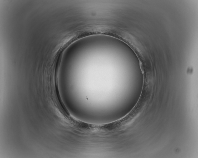 X0000097000585200802081446