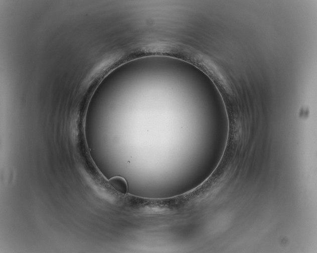 X0000097000586200802081446