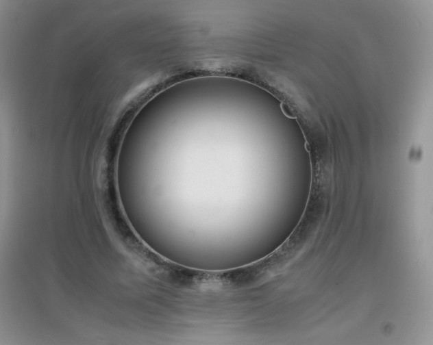 X0000097000587200802081446