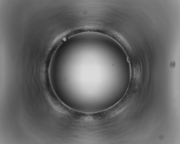 X0000097000588200802081446