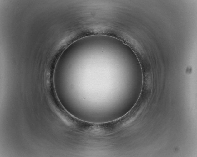 X0000097000589200802081446