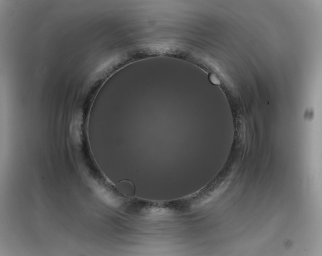 X0000097000590200802081446