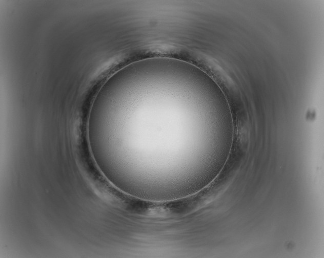 X0000097000591200802081446