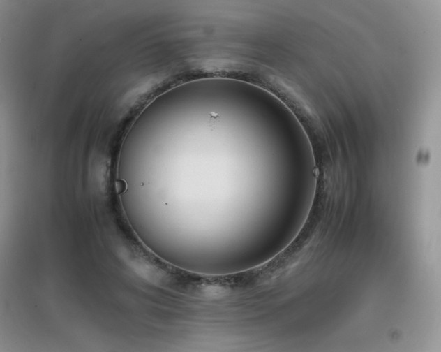 X0000097000592200802081446