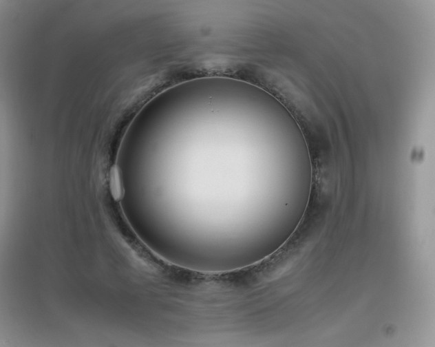 X0000097000593200802081446