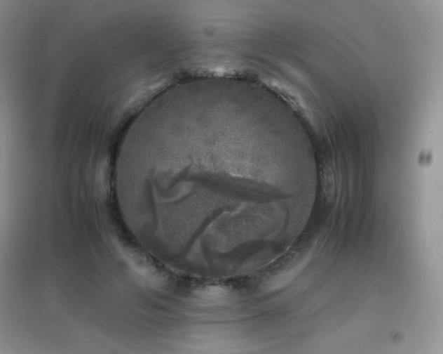 X0000097000594200802081446