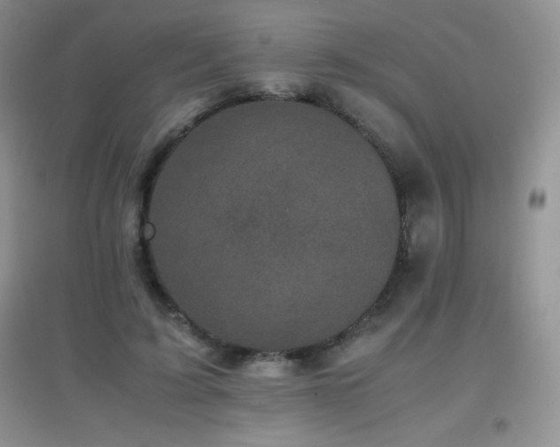 X0000097000595200802081446