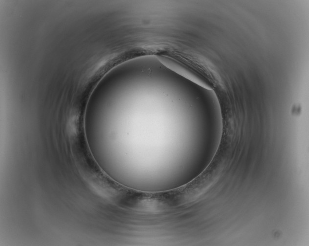 X0000097000596200802081446