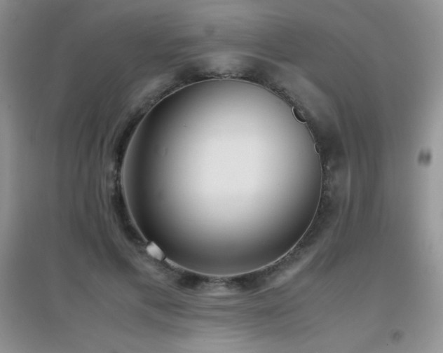 X0000097000597200802081446