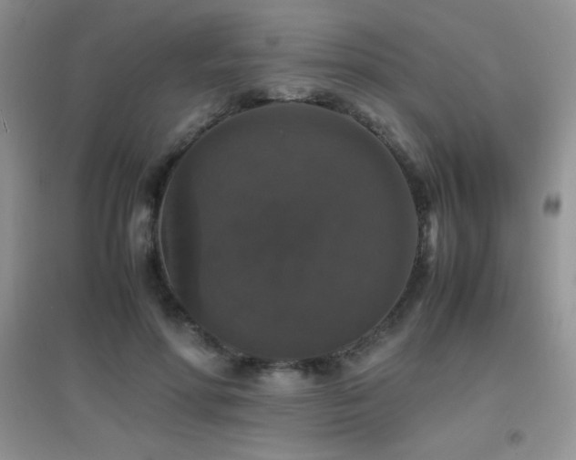 X0000097000598200802081446