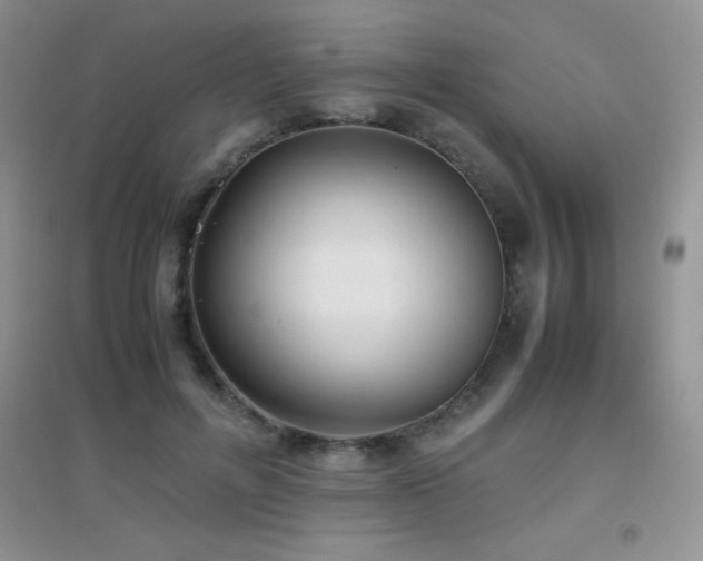X0000097000600200802081446
