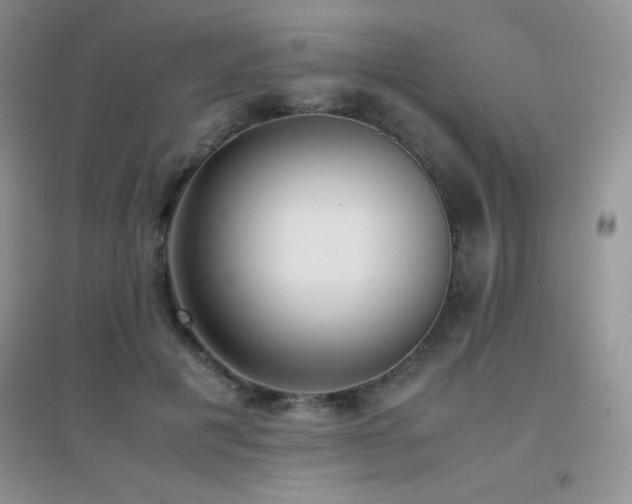 X0000097000601200802081446